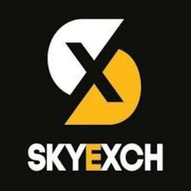Skyexch inr Logo
