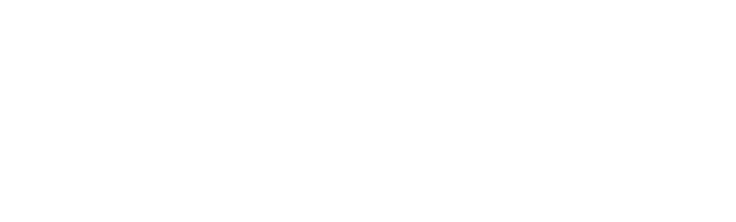 SAFFRONEXCH Logo