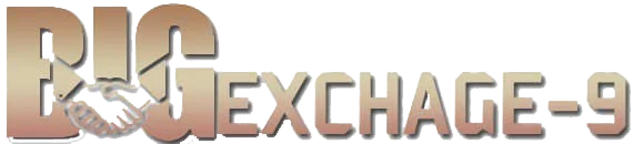 BIGEXCH9 Logo